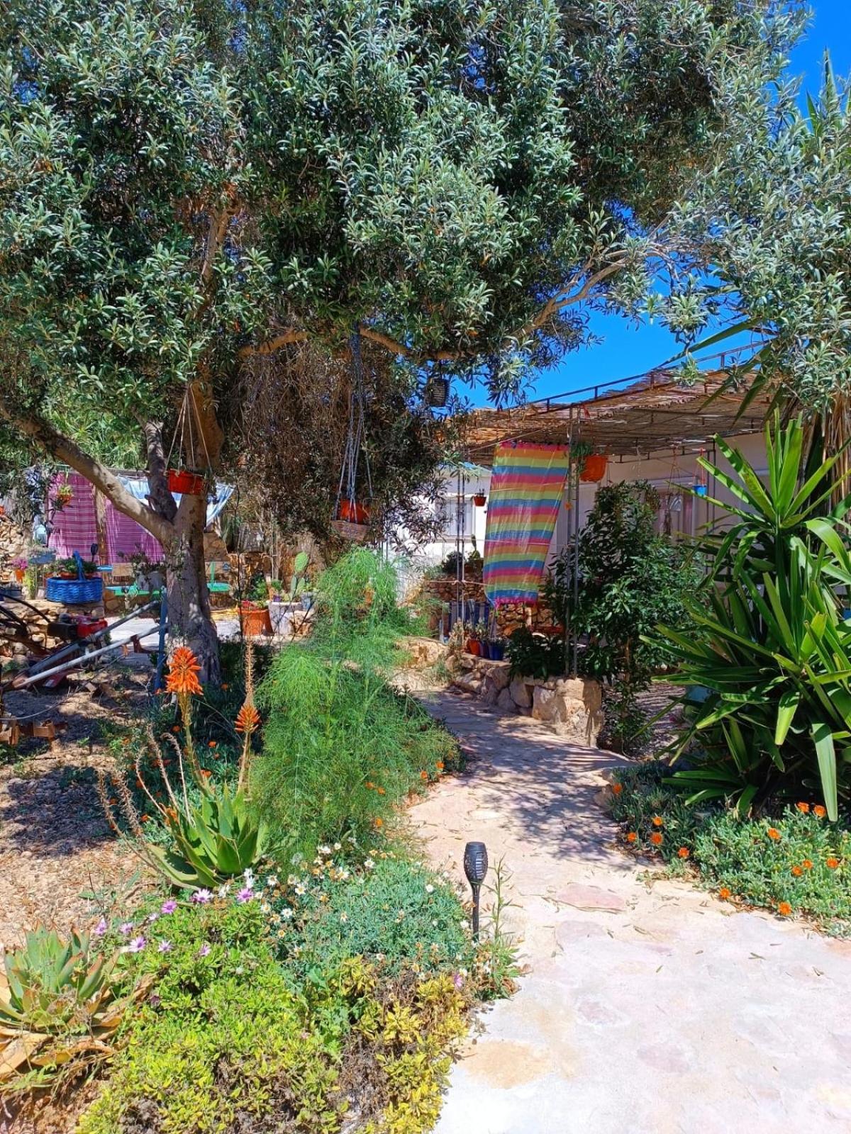 Apartament Cala Creta LMP Zewnętrze zdjęcie